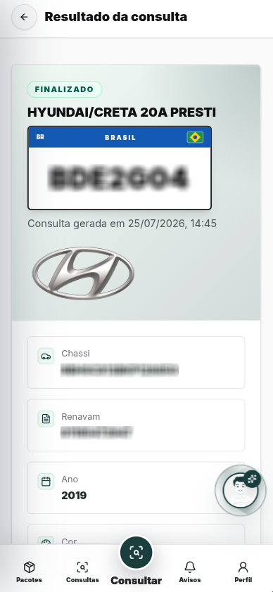 Exemplo de consulta: Dados gerais