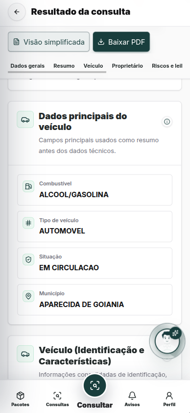 Exemplo de consulta: Dados principais