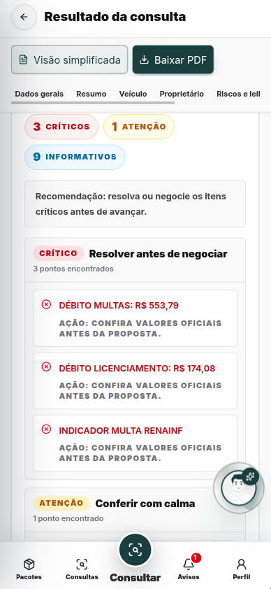 Exemplo de consulta: Resumo crítico